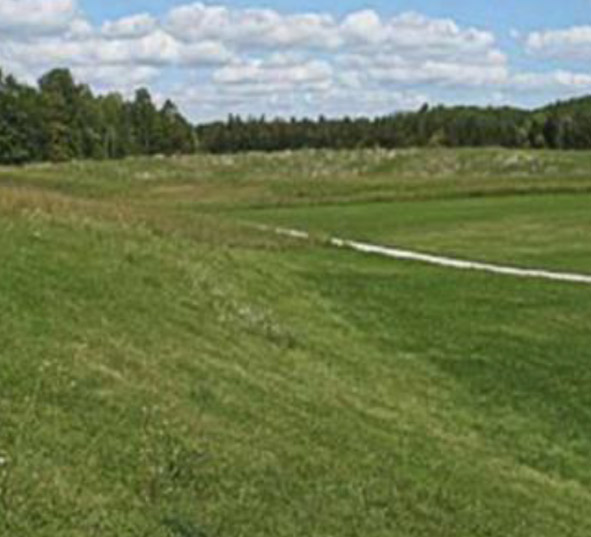 Outdoor Kitefield